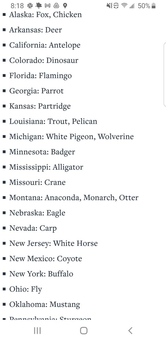 Shred City Presents tweet media