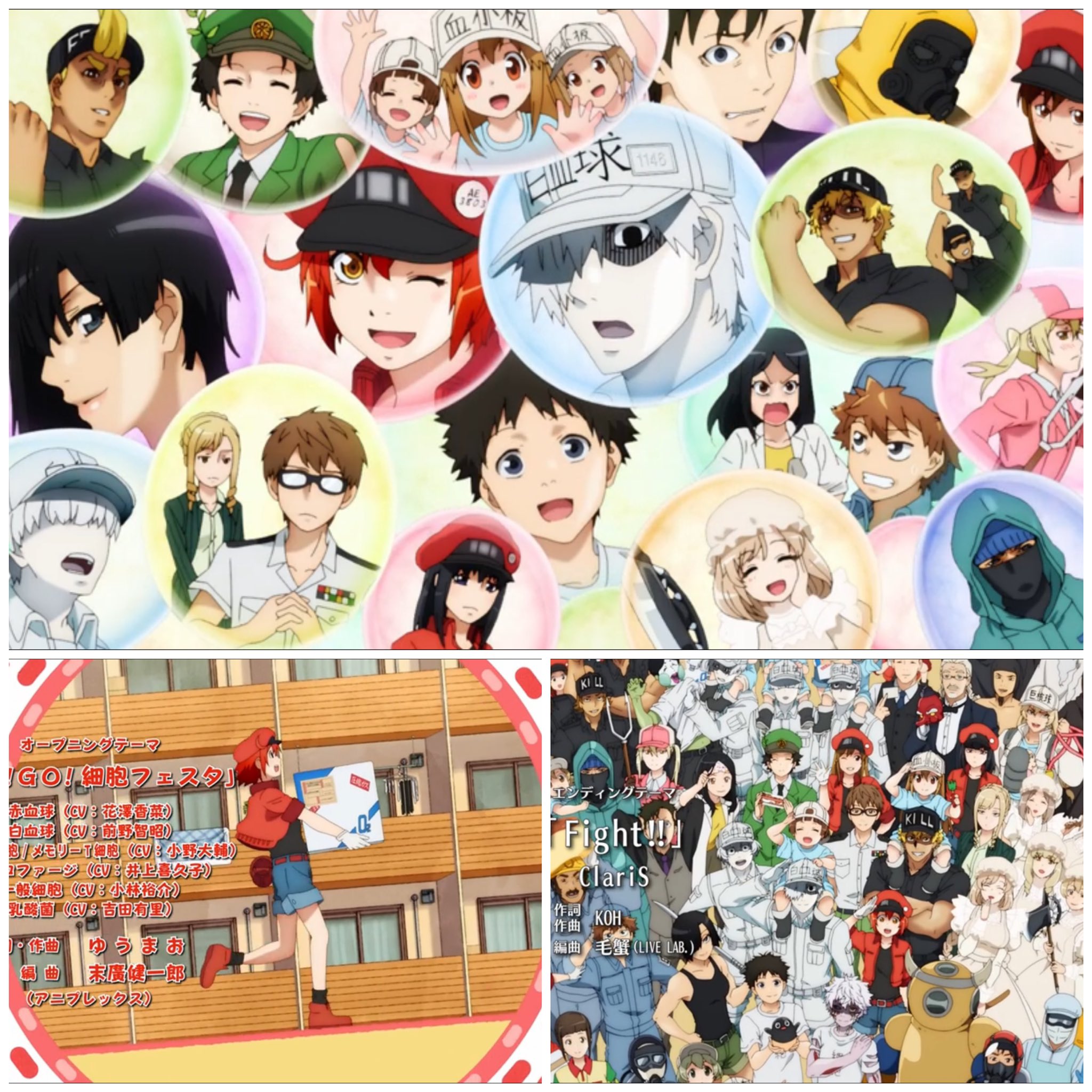 ニュービー はたらく細胞 1話視聴完了 Opが劇場版で見た時から沼w Edは大好きなclaris 血小板ちゃんが可愛いのと同時に うしろまえちゃん 推し声優石見舞菜香さん の成長と頑張りが見られる最高な開幕だったわけだけど 多分原作ストック的に完結まで