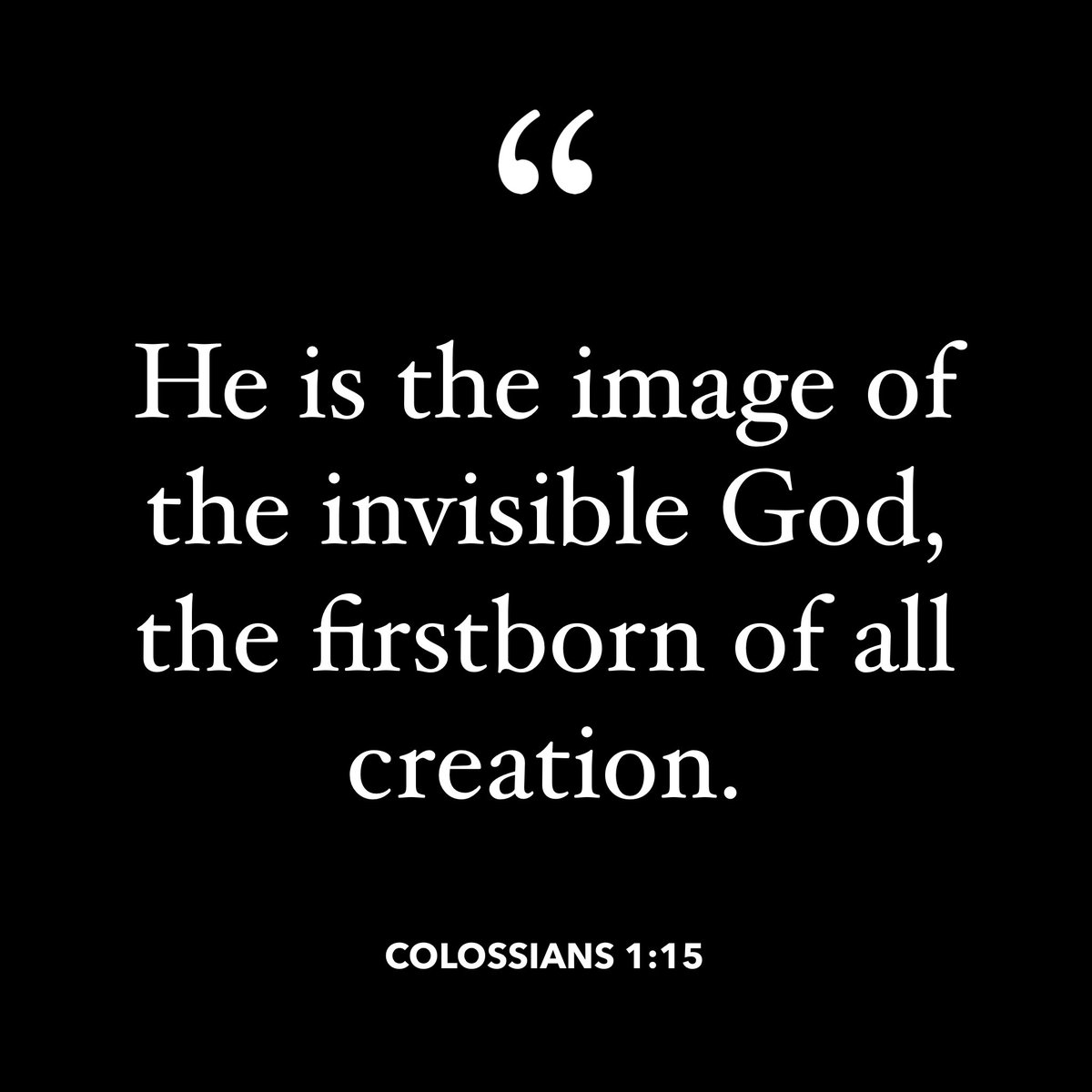 CelebrationLCFL tweet media