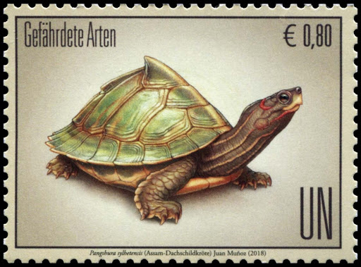 GregoryFasoulis's tweet photo. https://t.co/rW2EH5dsuM
Turtles - Chelonia - Testudines - χελώνα
#stamps #philately #sellos #philatelic #timbre #briefmarken #postalmusical https://t.co/2vXQWauJi2