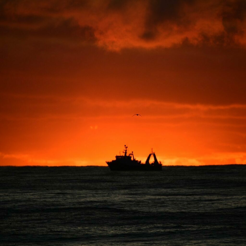 Bergþór Gunnlaugsson tweet media