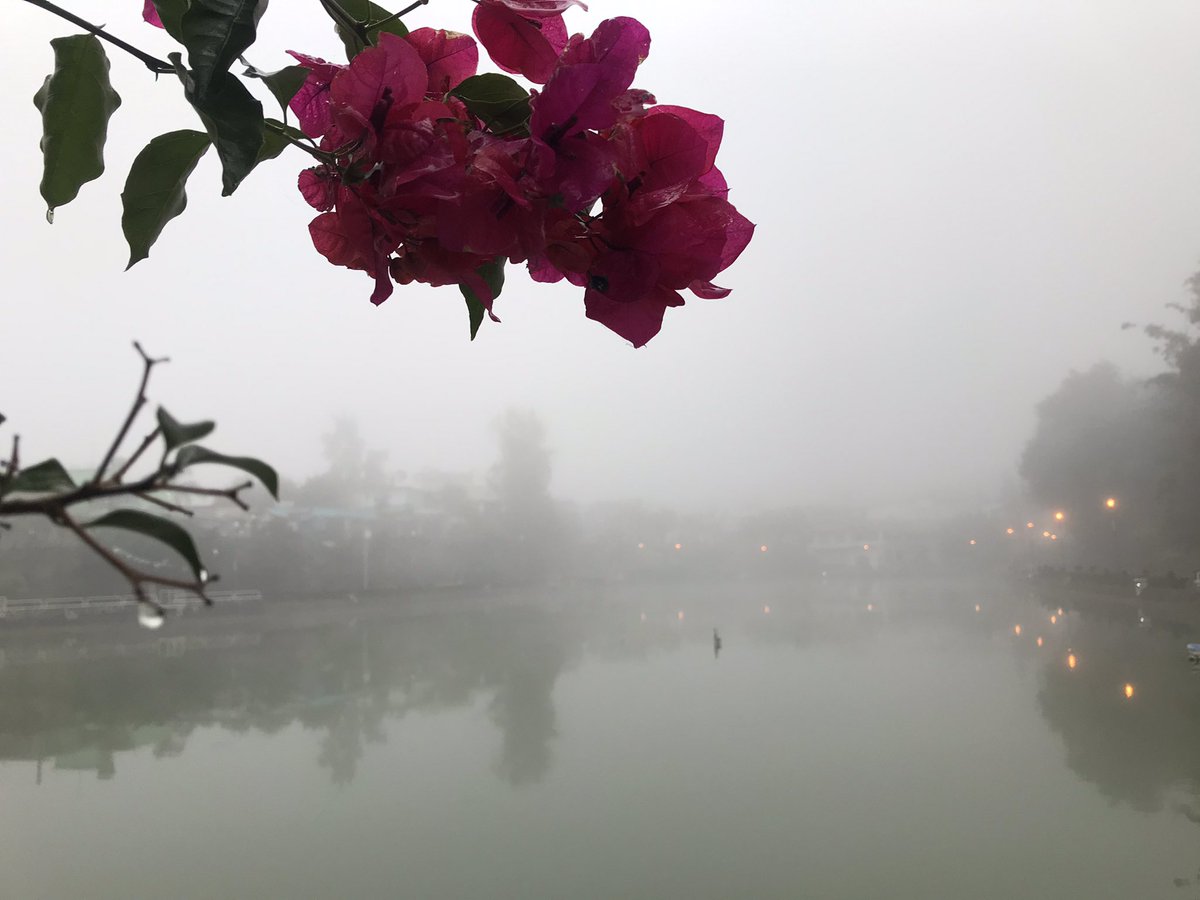 valerapoetuit's tweet photo. Extraño, andar en la neblina,
solitario está cada arbusto y cada piedra, ningún árbol ve al otro,
cada uno está solo.
...
¡Extraño, andar en la neblina!
Vivir es estar solitario.
Ningún hombre conoce al otro.
Cada uno está solo.

En la neblina, Hermann Hesse.
Trad. Hanne Seufert. https://t.co/CCdcW2P6bs