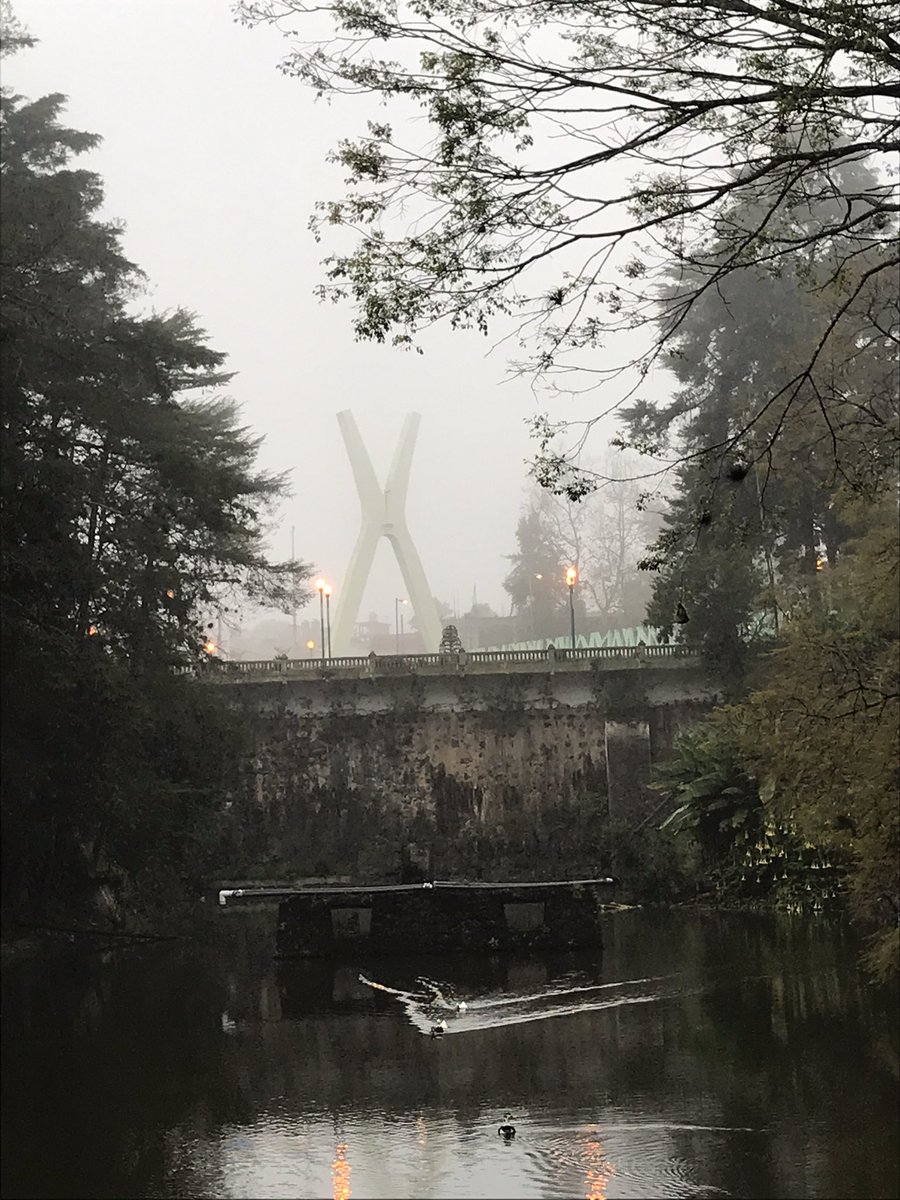 valerapoetuit's tweet photo. Extraño, andar en la neblina,
solitario está cada arbusto y cada piedra, ningún árbol ve al otro,
cada uno está solo.
...
¡Extraño, andar en la neblina!
Vivir es estar solitario.
Ningún hombre conoce al otro.
Cada uno está solo.

En la neblina, Hermann Hesse.
Trad. Hanne Seufert. https://t.co/CCdcW2P6bs