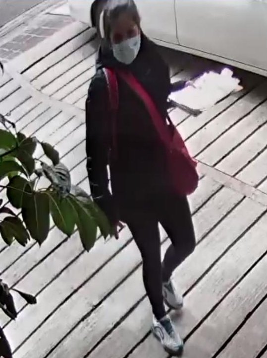 La Colonia Juárez tweet media