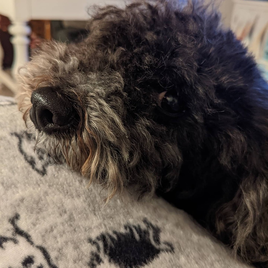 _jessdalrymple's tweet photo. This face 💕 https://t.co/csiQkDKcHX