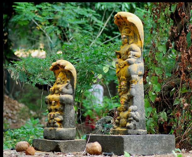 The main Garbhagriham in the temple is the Sapthamathrukkal. There are Sannidhi to Nagas, Nagayakshi and Vishnu too. Sarparadhana or snake worship is done here. Naga Panchami is famous here. Those who have Naga Dosham come here and get relieved of their Doshas. 