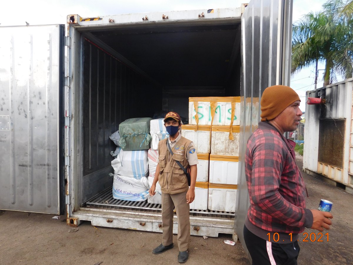 wilkerbalut's tweet photo. 10/01/2021 #OneHealthKIPM
Kegiatan Pengawasan Stuffing Pemuatan Ikan dan Cumi Cumi Beku di Pelabuhan Kontainer Banggai Laut Milik Ramli Tujuan Jayapura Via KM. Sinabung Oleh Petugas :
@WilkerBalut
@HumasBKIPM
@rinajanwar2201
@darwis_skipmlb
@l3o_Ramagusta
@medya1978 https://t.co/dDmQ1fXCJ6