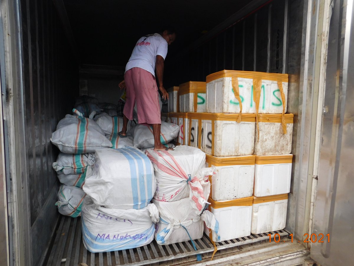 wilkerbalut's tweet photo. 10/01/2021 #OneHealthKIPM
Kegiatan Pengawasan Stuffing Pemuatan Ikan dan Cumi Cumi Beku di Pelabuhan Kontainer Banggai Laut Milik Ramli Tujuan Jayapura Via KM. Sinabung Oleh Petugas :
@WilkerBalut
@HumasBKIPM
@rinajanwar2201
@darwis_skipmlb
@l3o_Ramagusta
@medya1978 https://t.co/dDmQ1fXCJ6