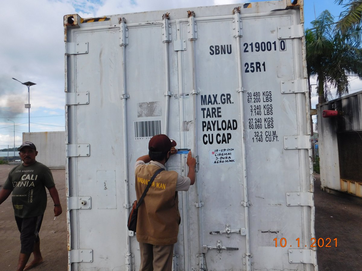 wilkerbalut's tweet photo. 10/01/2021 #OneHealthKIPM
Kegiatan Pengawasan Stuffing Pemuatan Ikan dan Cumi Cumi Beku di Pelabuhan Kontainer Banggai Laut Milik Ramli Tujuan Jayapura Via KM. Sinabung Oleh Petugas :
@WilkerBalut
@HumasBKIPM
@rinajanwar2201
@darwis_skipmlb
@l3o_Ramagusta
@medya1978 https://t.co/dDmQ1fXCJ6