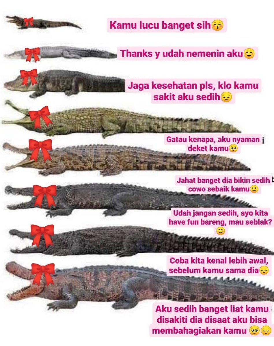 EPISODE 33.2: The Adventure of TERPESONA & Their Totally Unsuspicious Moves 2.0