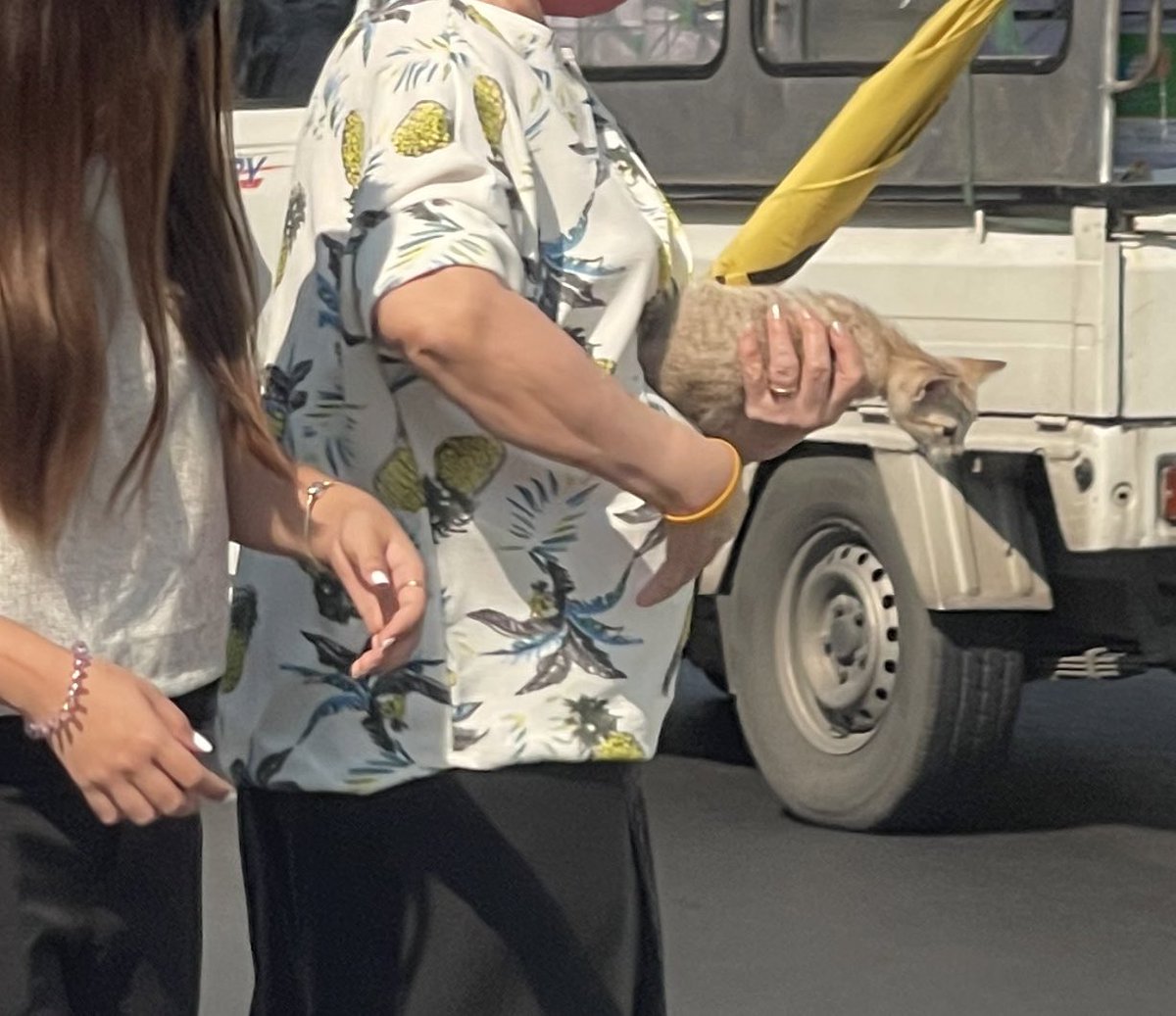 เราก็นึกว่ารถชนกัน ที่ไหนเค้าหยุดรถเก็บน้องที่โผล่มากลางถนนกัน ㅠㅠㅠ ㅇ ㅠㅠㅠ ใจเหลว