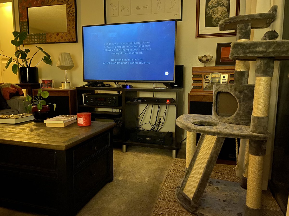 analydiamonaco's tweet photo. Christmas stuff put away.
Home vacuumed.
Home dusted.
Kitty box washed and litter changed.
#lahome #smallspaceliving #westsideliving https://t.co/OITN7JsIjl