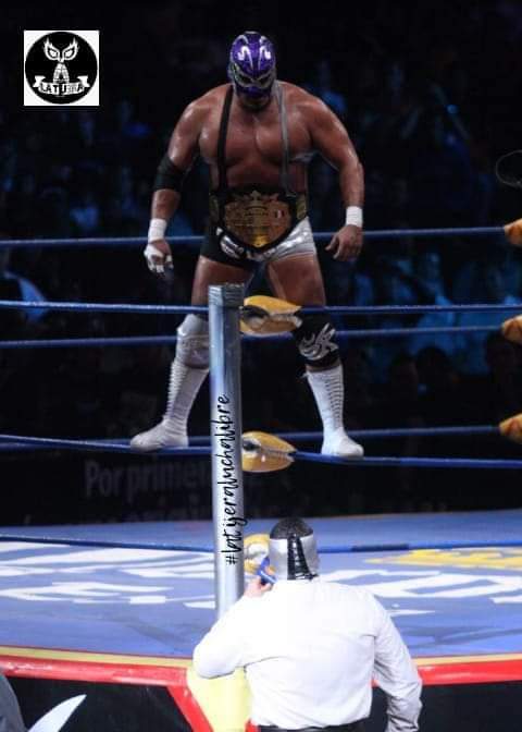 LaTijeraLucha's tweet photo. Hoy, la #ArenaCelestial abre sus puertas para realizar una magna función en honor a un hombre pulcro y con una gran técnica, todas las leyendas aplauden para conmemorar tu cumpleaños #SilverKing #ReySilver #Ramses #LegadoWagner #MalMalMal.
#latijeraluchalibre https://t.co/DSlJn4GWep