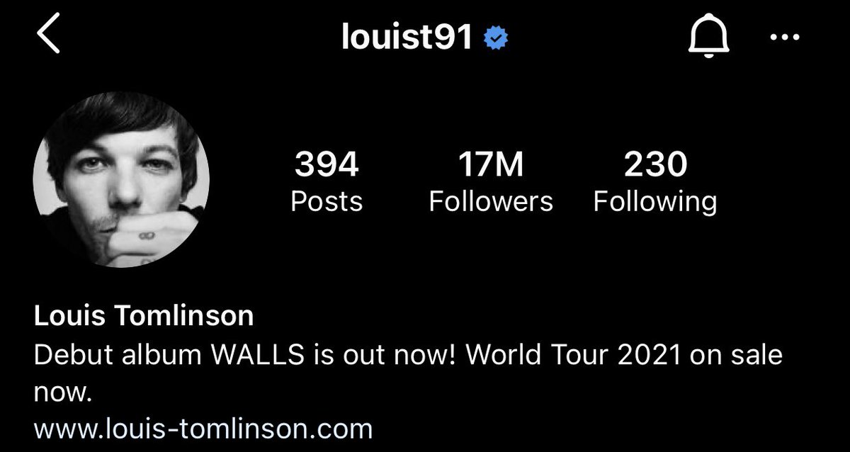TeamPromoLouis's tweet photo. 📲 | Louis changed his insta bio a short while ago, 

he took the👇 emoji out, and slightly changed the link. https://t.co/C4Ltfs9ONh