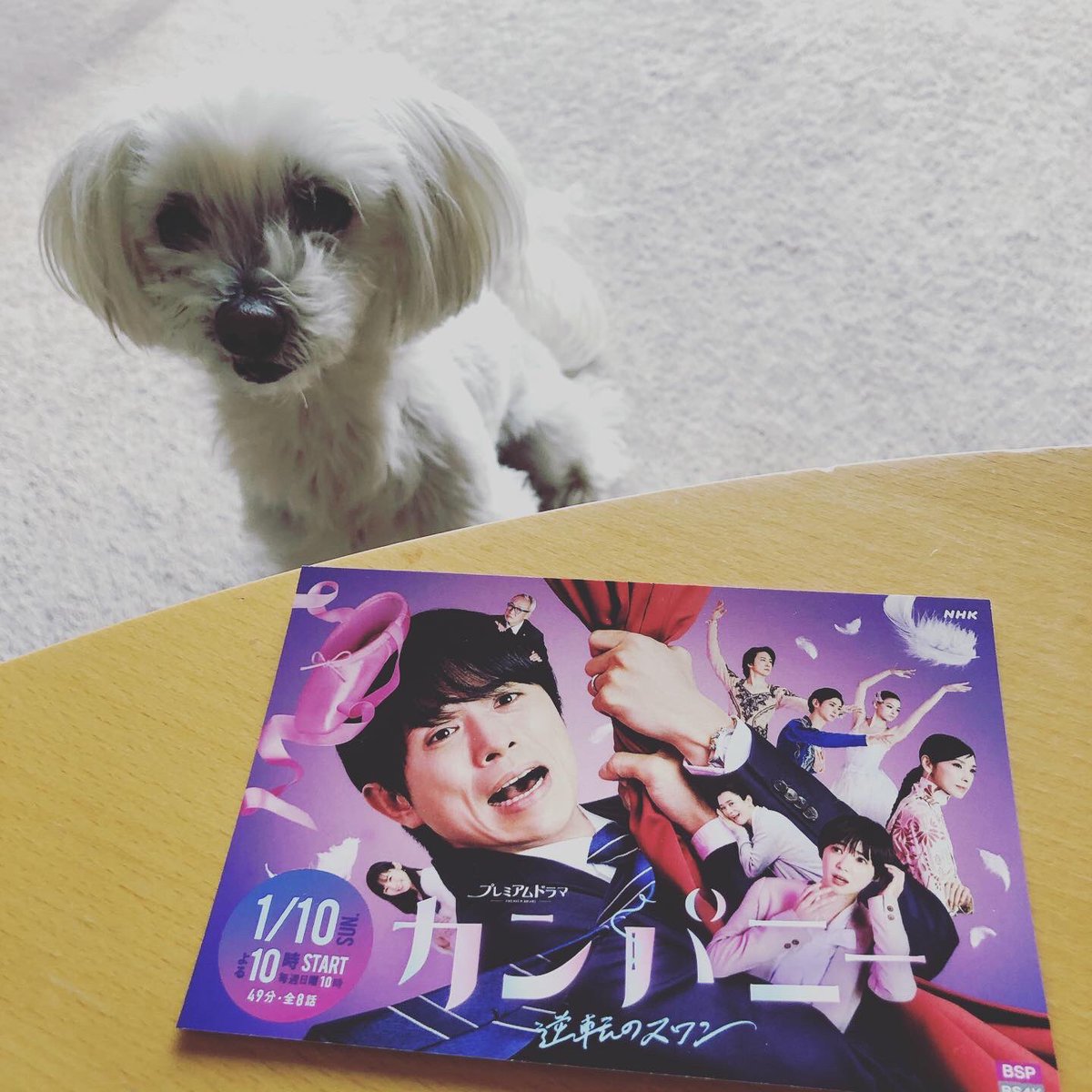 梅田みかのプロフィール 画像 写真 梅田みかのプロフィール 画像 写真