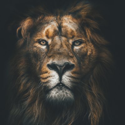 MasterChucki's tweet image. #NouvellePhotoDeProfil