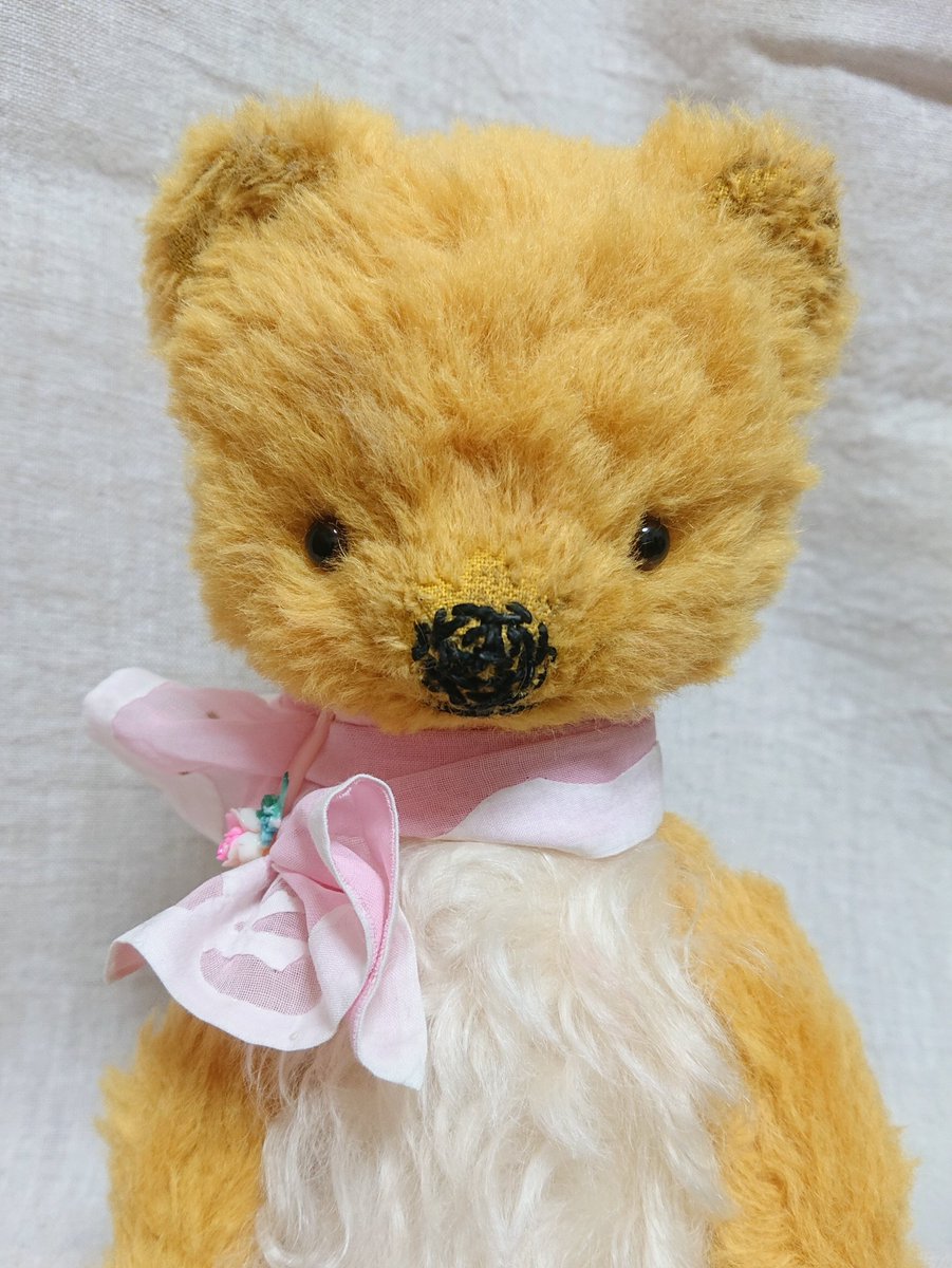timeroman_doll's tweet photo. ◆時の博覧会◆テディベア編 第6章開催のお知らせ◆1/22（金）～1/31（日） ◆

本日は、1月22日（金曜日）から始まります。【時博】の第6章出展作家【maple　drop】さまの作品をちょこっとだけご紹介しております。

詳細はこちら
https://t.co/jVW643mUyQ

#タイムロマン　#時の博覧会　#mapledrop https://t.co/yNTtNQ8nU3