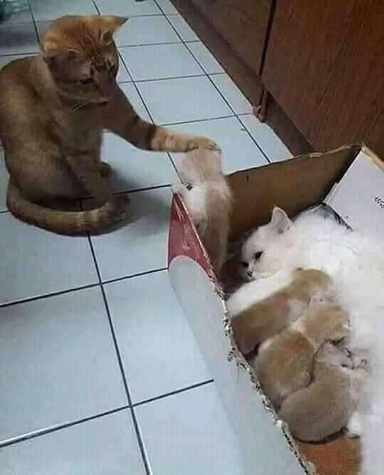 BabyLuna199's tweet photo. Demi membesarkan anak2...😜😜😜 https://t.co/8xDkSBlWTM