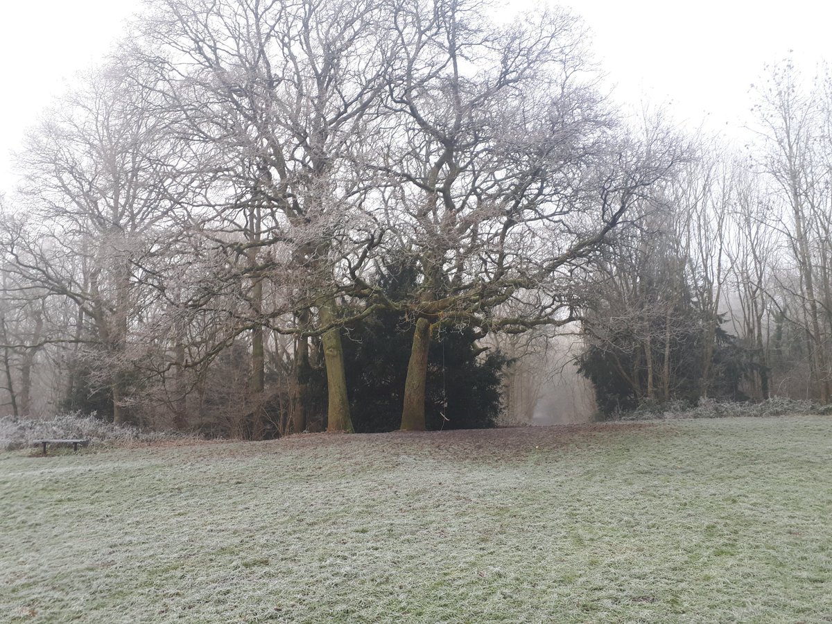 BonhamJosie's tweet photo. #walking #chillyjanuary
No let up in this cold snap but the woods look starkly pretty covered in frost. https://t.co/BYav8DkOWN