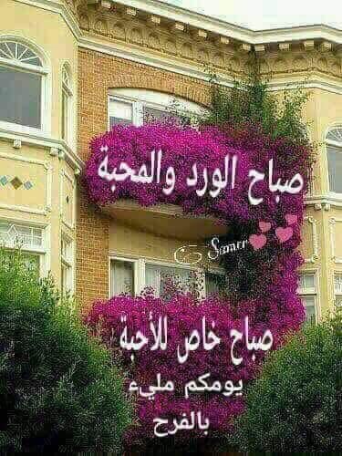 صباحو ورد وفل وياسمين
