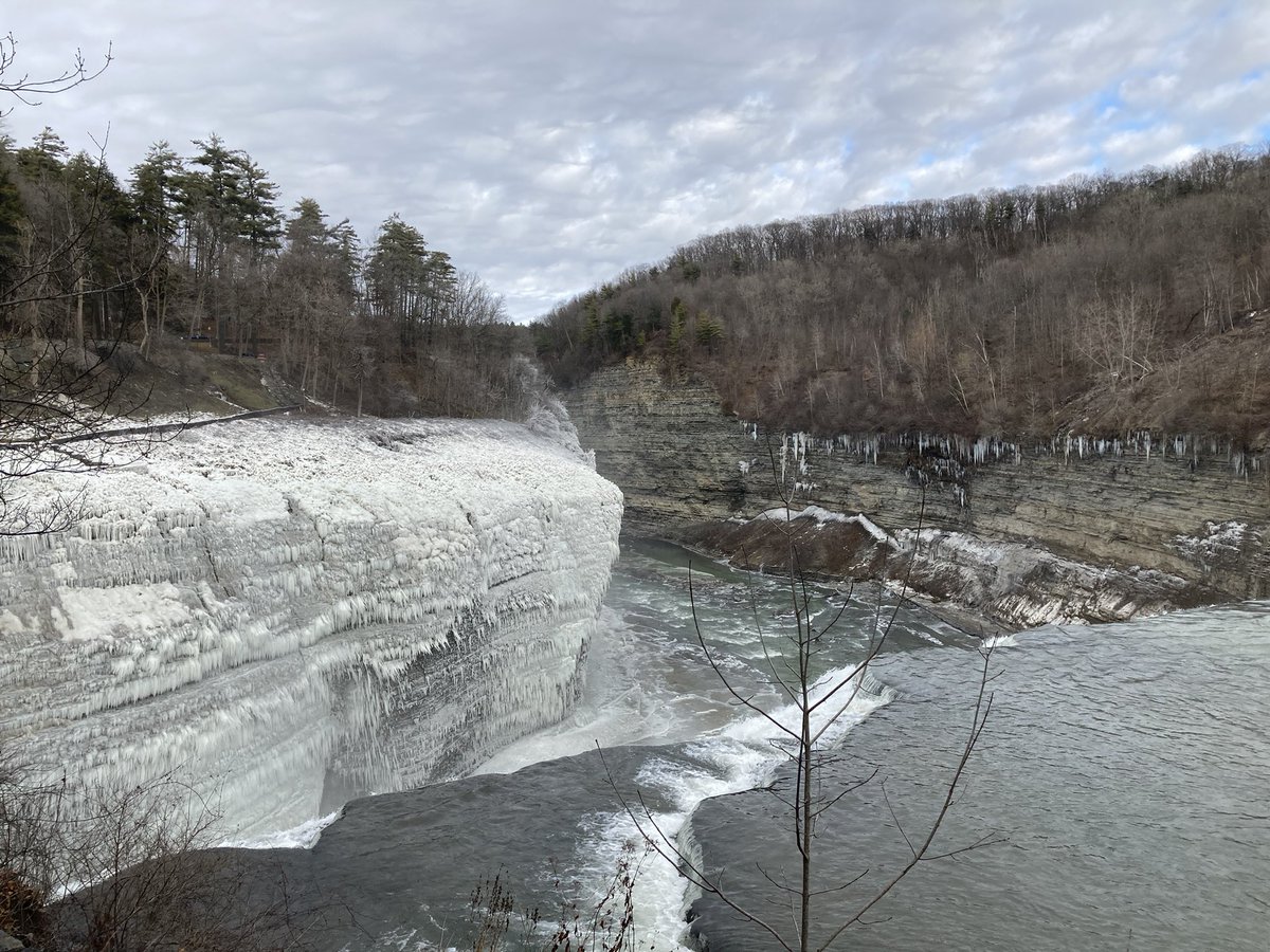 Genesee/Finger Lakes tweet media