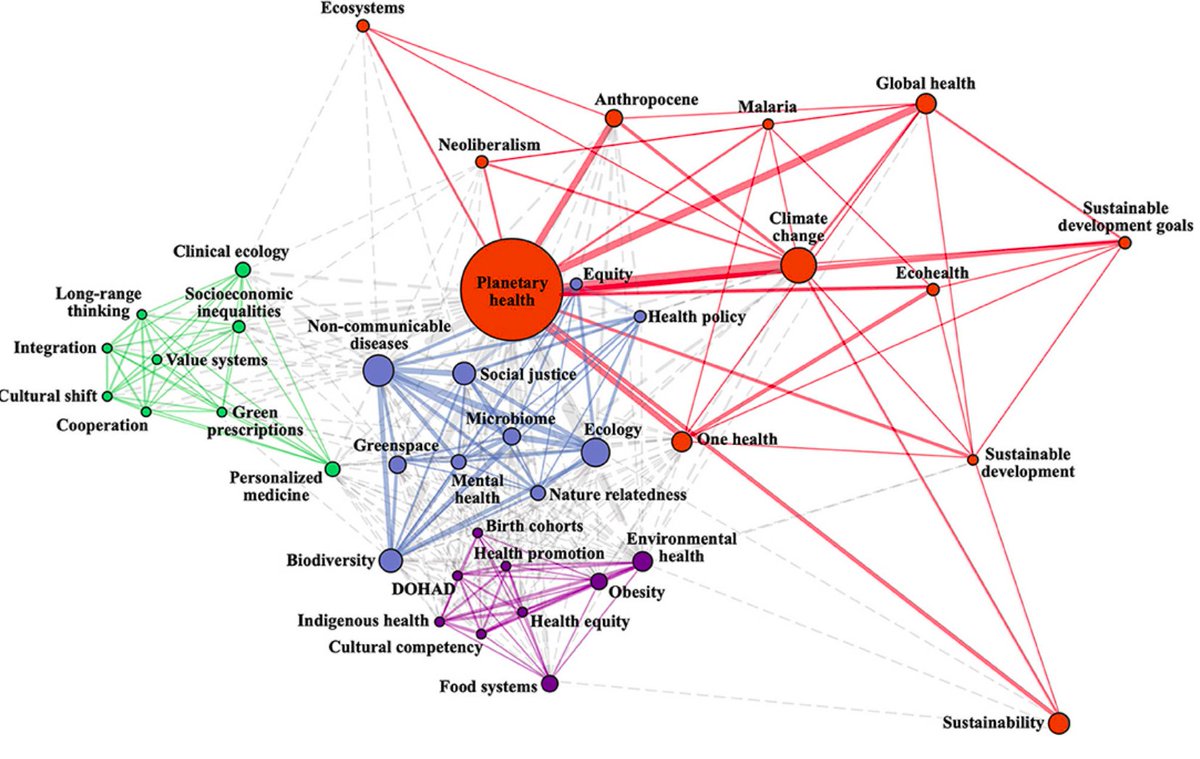 Main keywords:climate change, ecology, and non-communicable diseases.Clustered around high-level concepts (e.g. Anthropocene) and food systems. Some cool combination (e.g., mental health-greenspace)! Missing: Indigenous knowledge, some of the themes proposed by  @ph_alliance
