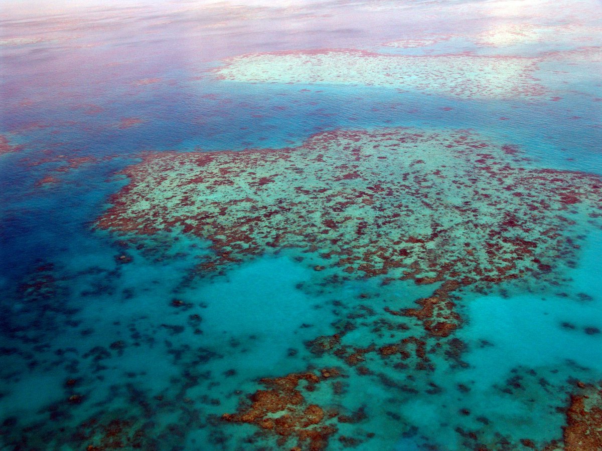 UNEP's tweet photo. The Allen Coral Atlas project is mapping coral reefs around the world🌏🌍🌎 to provide information crucial for their protection and restoration.

It aims to have all of the world's reefs mapped in 2021.

📖 more: https://t.co/1MBc49Ayhh
#ForNature https://t.co/fKVY48H9q1