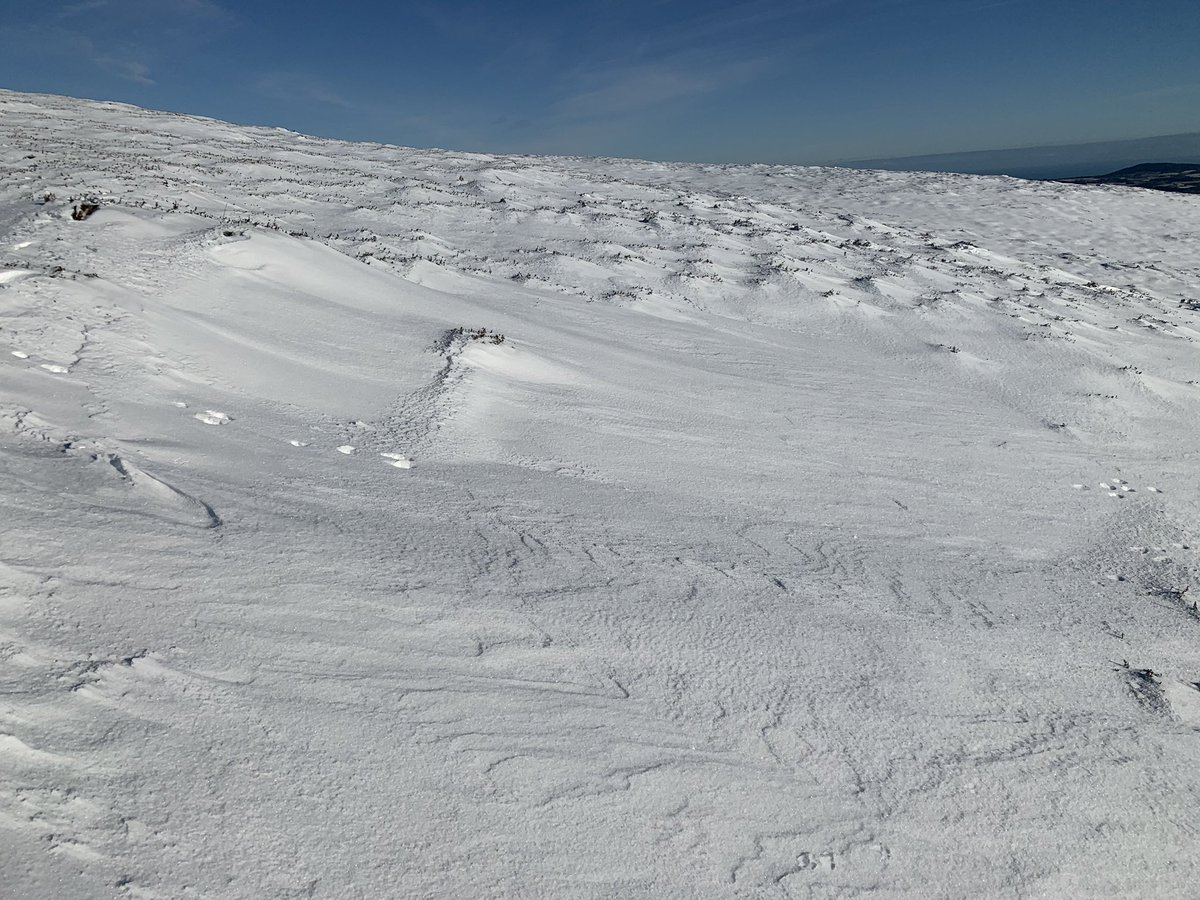 JuJuJay3's tweet photo. So much snow on the hills of wicklow- so happy to be living here-
#jujujay #mountainrunner #trailrunner #AdventureTime #wicklowhills #viewranger #happyout https://t.co/fRgzRBF2p8