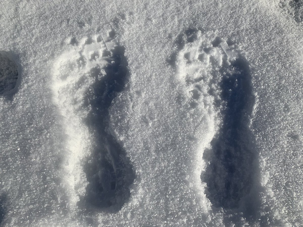 JuJuJay3's tweet photo. So much snow on the hills of wicklow- so happy to be living here-
#jujujay #mountainrunner #trailrunner #AdventureTime #wicklowhills #viewranger #happyout https://t.co/fRgzRBF2p8