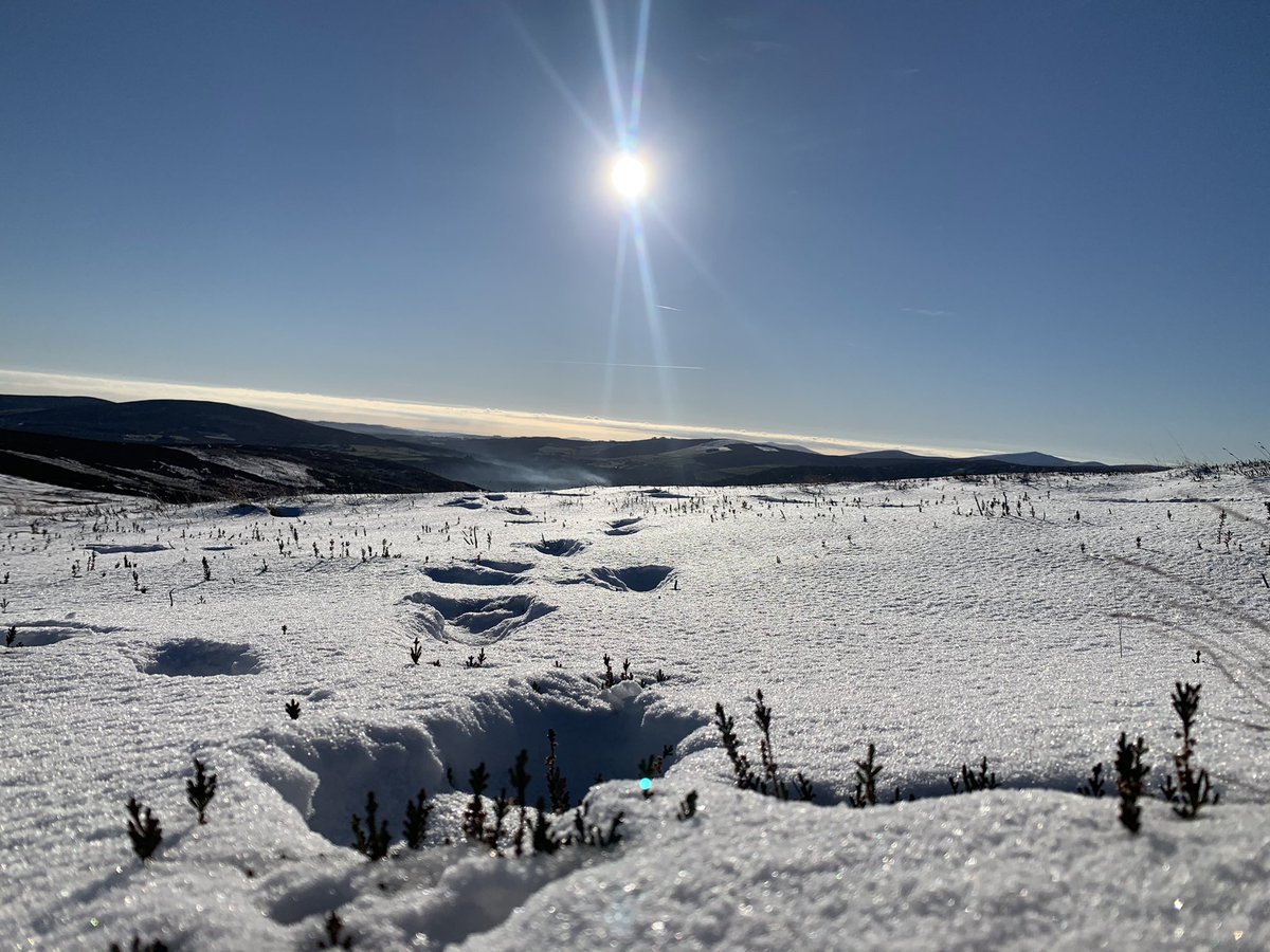 JuJuJay3's tweet photo. So much snow on the hills of wicklow- so happy to be living here-
#jujujay #mountainrunner #trailrunner #AdventureTime #wicklowhills #viewranger #happyout https://t.co/fRgzRBF2p8