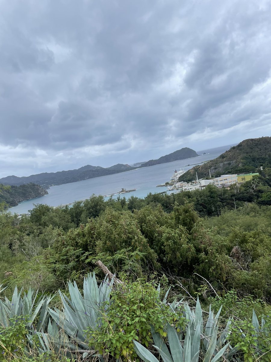 Shin_136's tweet photo. 出張で小笠原父島に3泊5日
24時間かけていって仕事だから観光はできなかったけど島寿司、カメ刺し、カメ煮、サメバーガー食べれて良かった😋
※途中夜スーパーも店も閉まっててカップ麺笑

また、ご縁があれば、、、
天気の良い日に行きたい笑
#小笠原諸島　
#父島
#おがさわら丸 https://t.co/CtQfekaHOg