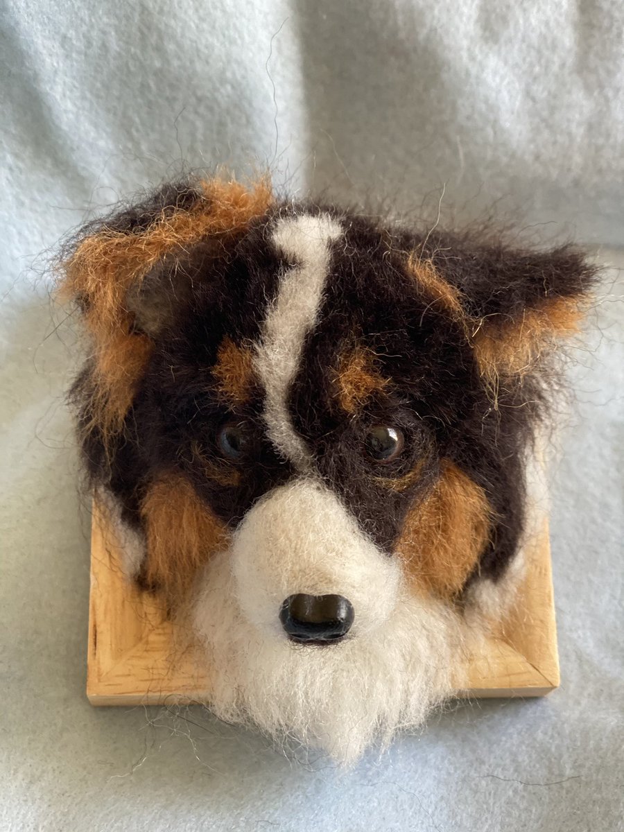 Twoucan ボーダーコリーブラックトライ の注目ツイート イラスト マンガ コスプレ モデル