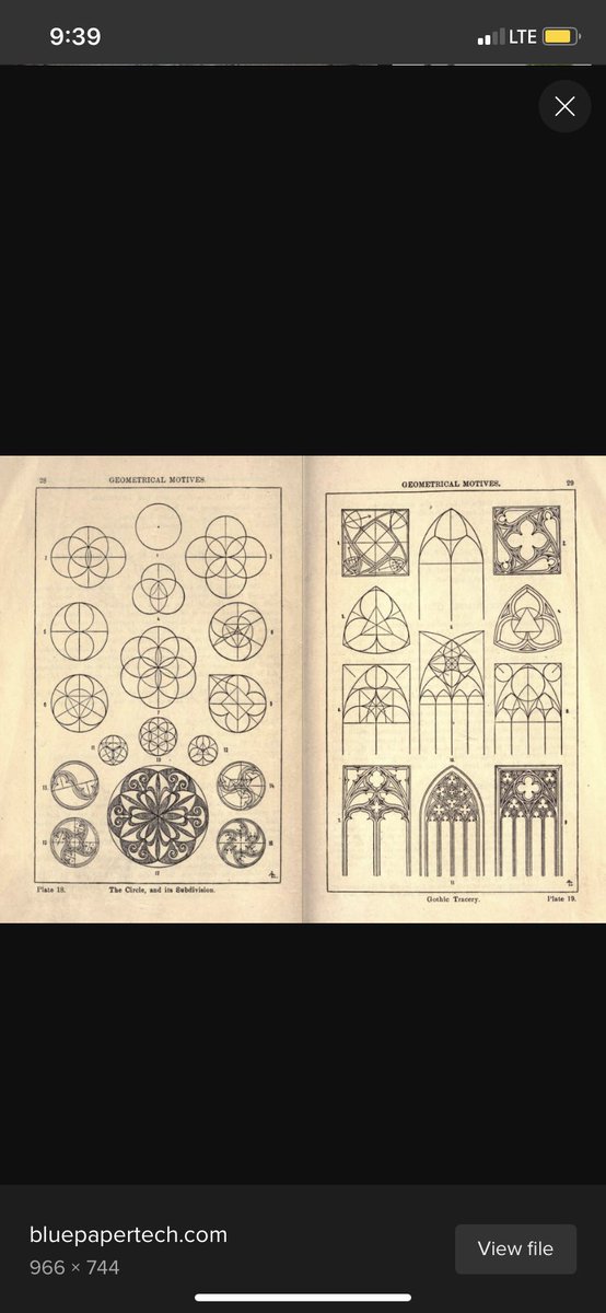 The trefoil is the focal point in many gothic structures, repeatedly and prominently shown. It is represented in many ways. ‘Going down the rabbit hole’ now makes sense, if you understand the center point of the ears is the center of the torus, with the rabbit trefoil.