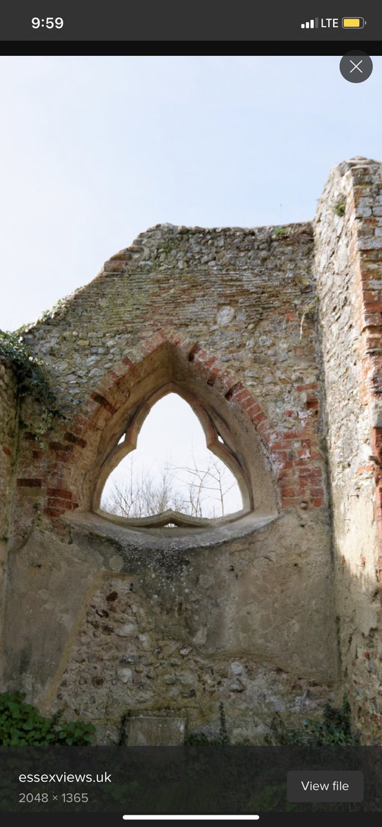 The trefoil is the focal point in many gothic structures, repeatedly and prominently shown. It is represented in many ways. ‘Going down the rabbit hole’ now makes sense, if you understand the center point of the ears is the center of the torus, with the rabbit trefoil.