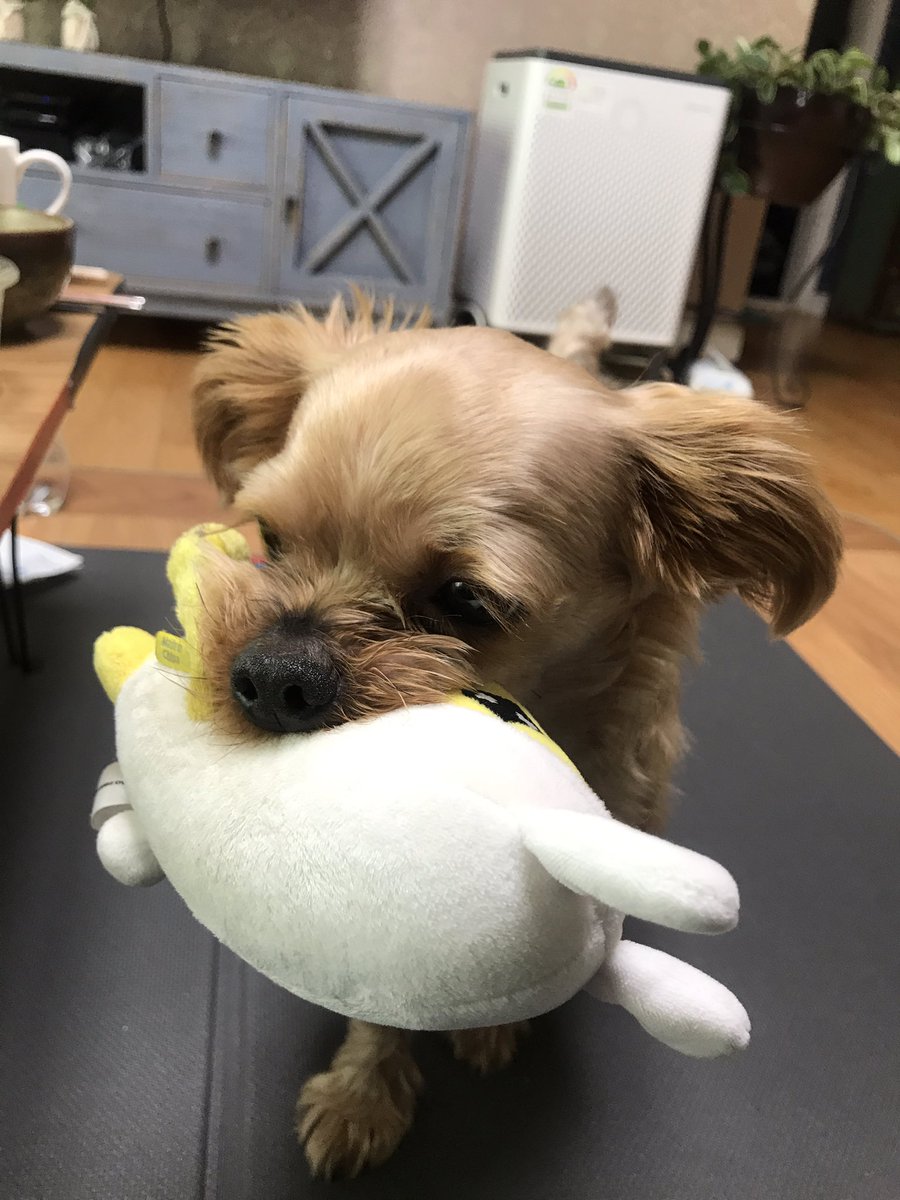 문왕수 tweet media