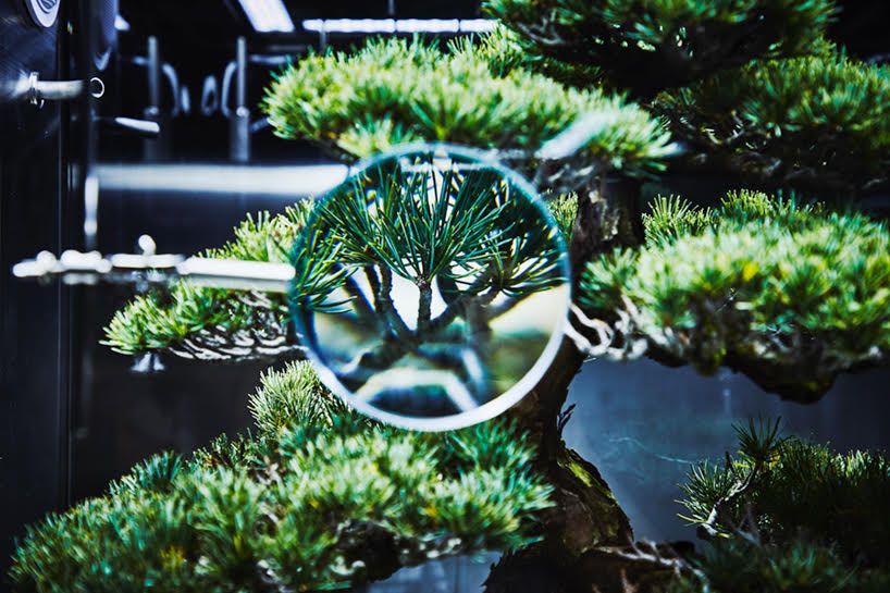 designboom's tweet photo. the futuristic 'paludarium' series is a reinterpretation of a 19th century garden vessel. https://t.co/bs73Z3RsOK https://t.co/dh1IxjFXHV