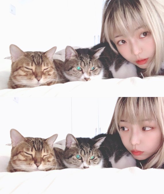 コスプレイヤーEly（イリー）のTwitter画像7