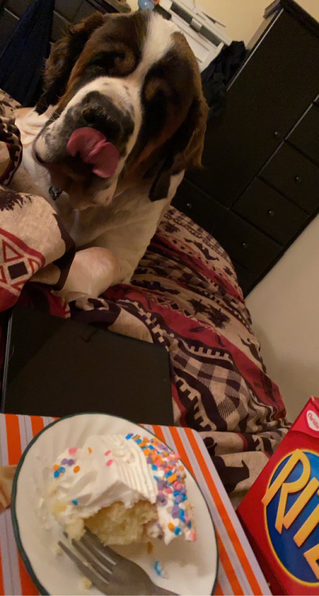 PariseRoy's tweet photo. When your on bedrest and want to enjoy some comfort food. Yes he got most of it #saintbernard https://t.co/4L2ShmdowB