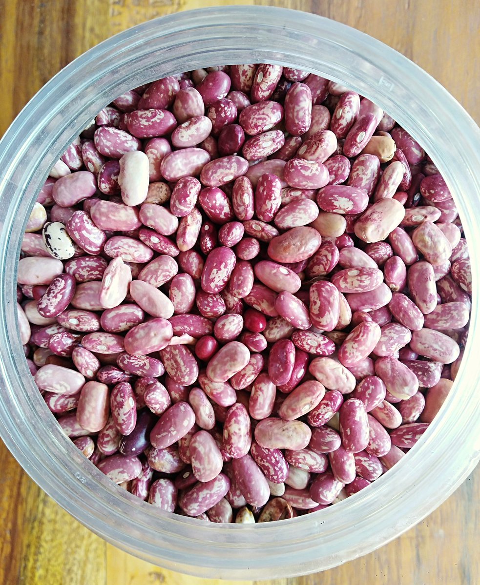 Agro_Pal's tweet photo. Are you looking for common #beans, to supply to #schools #vendors #ownuse #children's home..."your search has come to an end!!!" look no more, #yellowbeans #Rosecoco readily available. Whatsapp 0777540577 or  DM @Amos_Moruri. #Marketing #Agribusiness #AgrifocusKE #Eldoret #kitale https://t.co/3Fr1gj3uTK