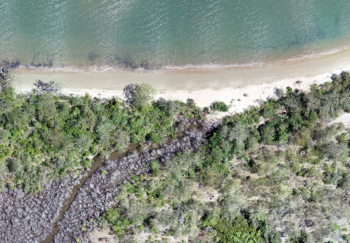 GeoNadir tweet media