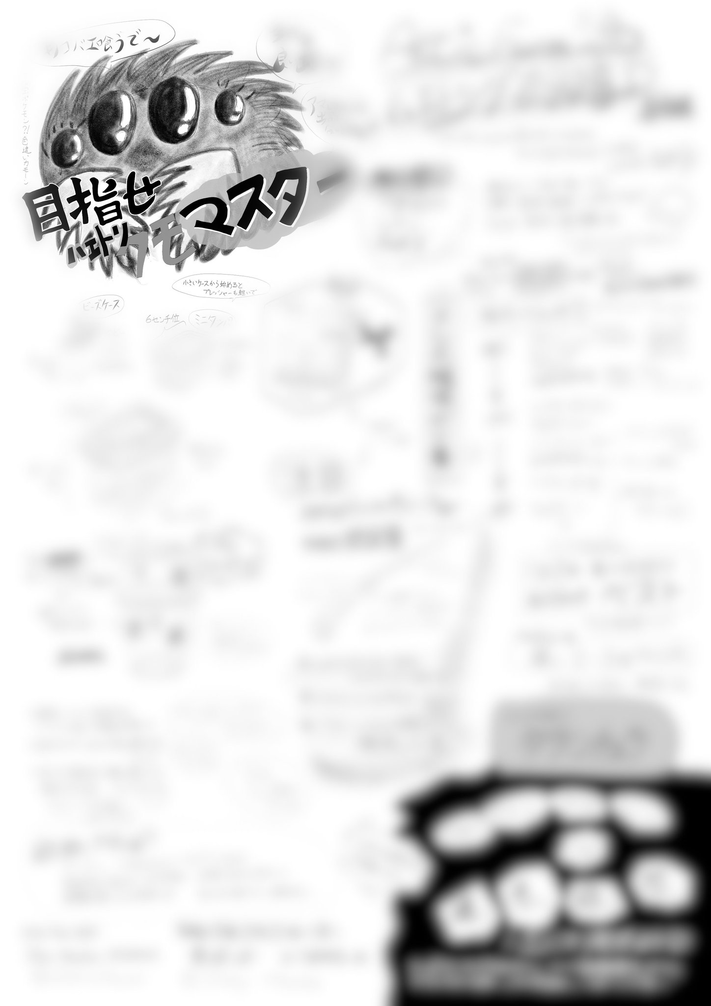 ハエトリグモ飼育 Twitter Search Twitter
