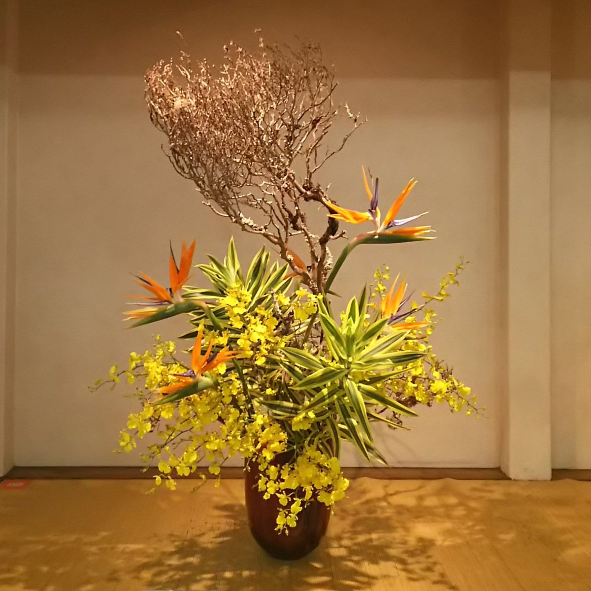 挿花教科写真帖　華道光風流家元　いけばな　生け花　レア _【2月の花】 いけばな：勅使河原茜 花材：ミモザアカシア