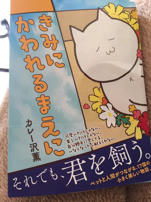 脳の仕組みがどうかなってるのじゃないかと疑うくらい奇妙な絵なんですが(すみません!!)カレー沢薫先生のこの本めちゃ泣ける。
妹が貸してくれた。

犬も猫も、ものすごく可愛いくなくて素晴らしいです。 