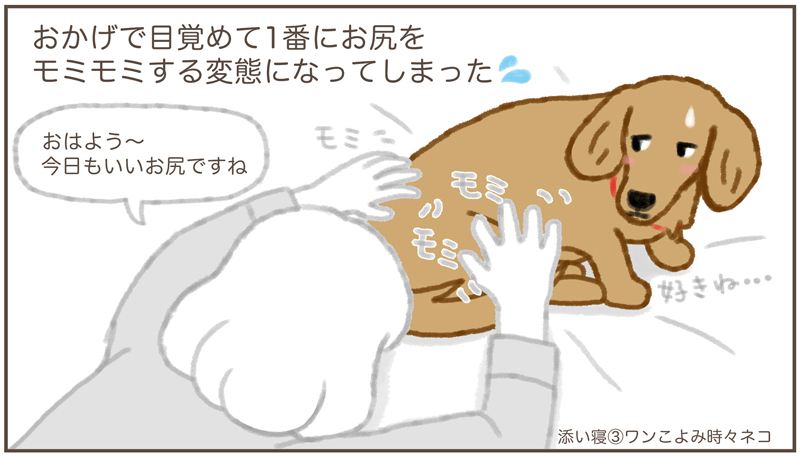 ワンこよみ時々ネコ なんでもない日 その23 モデルの愛犬の思い出です アオさんの 添い寝 は 人によって位置が違う 私との添い寝の位置は 添い寝 漫画 かな イラスト 愛犬 可愛い オチリ T Co Yhfmrjlhaz Twitter ワンこよみ時々ネコ なんでもない日 その23 モデルの愛犬の思い出です アオさんの 添い寝 は 人によって位置が違う 私との添い寝の位置は 添い寝 漫画 かな イラスト 愛犬 可愛い オチリ T Co Yhfmrjlhaz Twitter