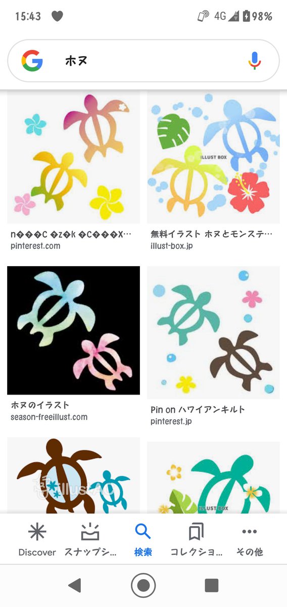 白ボル モンステラは観葉植物で ホヌは海ガメですよ ハワイでは海ガメは海の守り神だったかな モンステラはボル でも 沢山置いてあるんですぅ モンステラは大きくなると下にある葉っぱに陽が当たる様に自ら葉っぱに切れ目を入れて光が届く様に