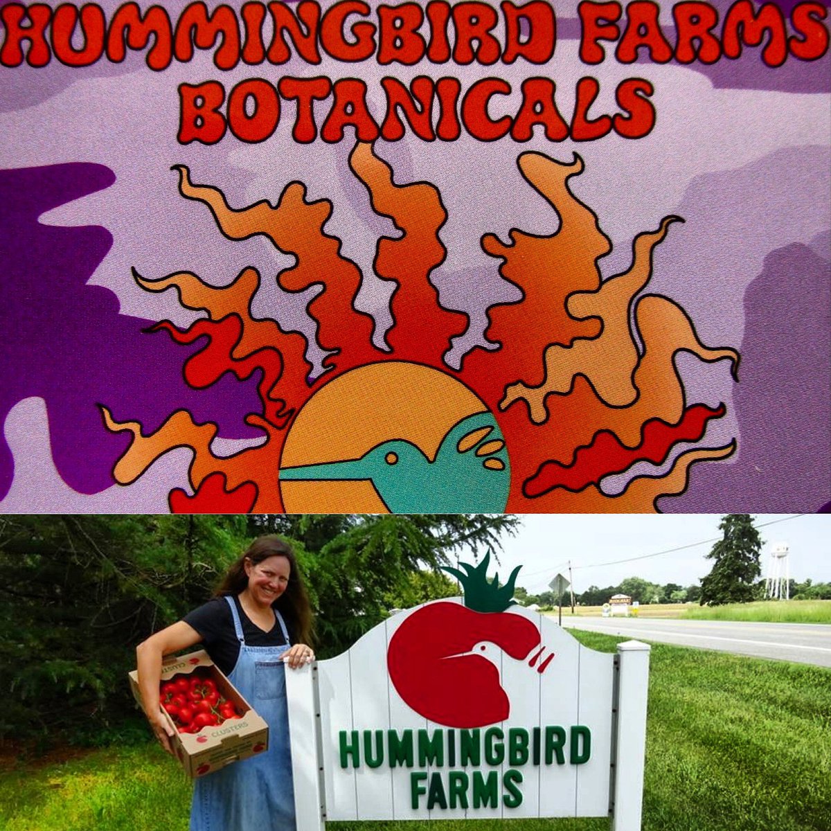 JELSturmer's tweet photo. Gonna be on @103wrnr radio this  morning 7:20; 8:20 &amp; 9:20 am, 3 different segments “Chesapeake Life” w/ Michael BuckleyListen live at https://t.co/rAKKgE8qRG 🍅🌱
#localfood #chesapeakelife #localbusiness #local #mdsbest #supportlocal #supportsmallbusiness #wrnr #hemp #tomatoes https://t.co/Nm5PoXAgPQ