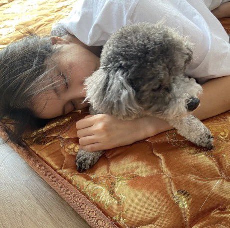 alpelise's tweet photo. call this mf ugly but she’s cuddling him and not you so who won https://t.co/dbbYOniyUg