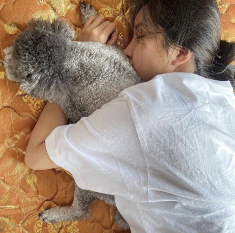 alpelise's tweet photo. call this mf ugly but she’s cuddling him and not you so who won https://t.co/dbbYOniyUg
