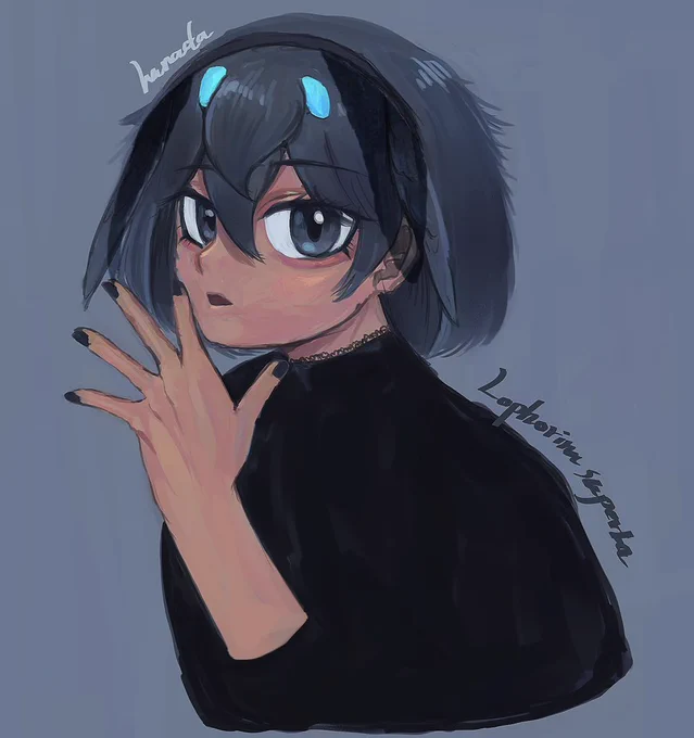 カタカケ 