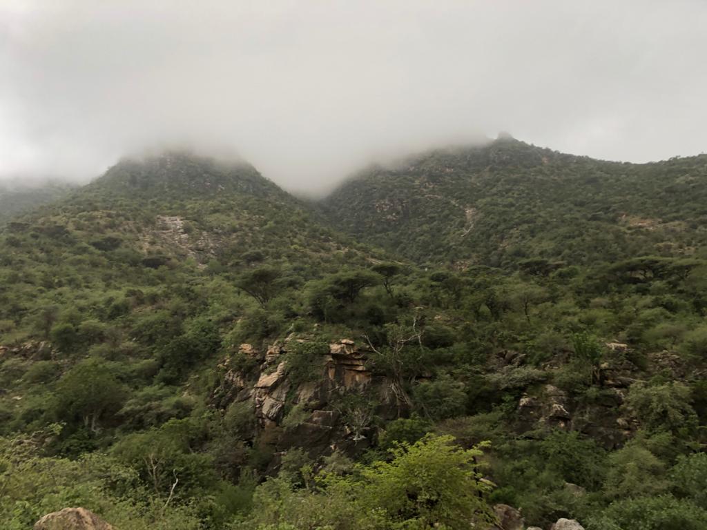 EyesSomaliland's tweet photo. LAASA DACAWO in Saaxil region of #Somaliland is beauty overloaded. Its landscape is unmatched and makes a perfect tourist site. It's about 2+ hours drive from Hargeisa, and only 30 mins away from Berbera. https://t.co/s5jBgdwXRC